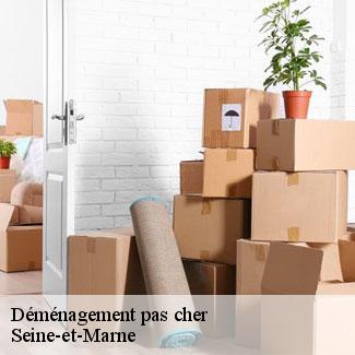 Déménagement pas cher