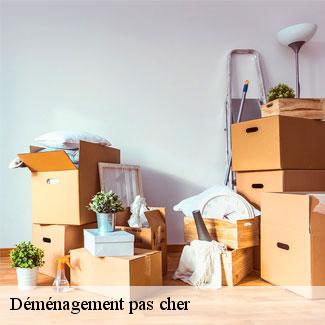 Déménagement pas cher